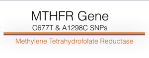 MTHFR Testing