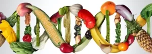 Nutrigenomics personalized diet nutrition dna jpg webp