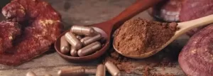 Medicinal mushrooms supplement cancer research jpg webp