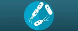 B12 shapes microbial communities