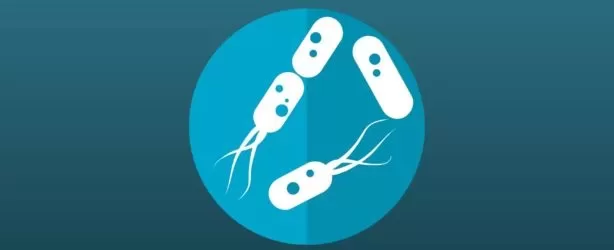 B12 shapes microbial communities