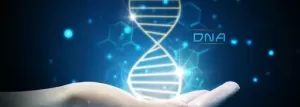 Unwrapping dna nutritional biochemistry jpg webp