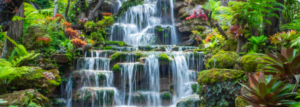 Fountain of youth