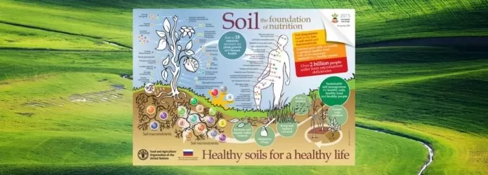 healthy soil nutrition