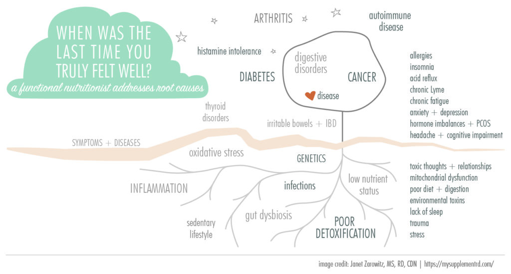 Functional Nutrition