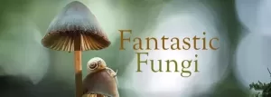 Fantastic fungi poster jpg webp