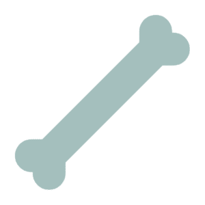 Bone