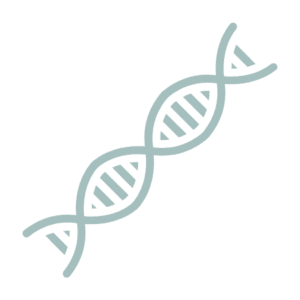 Genes