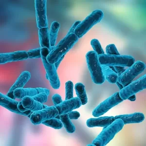 Probiotics jpg webp