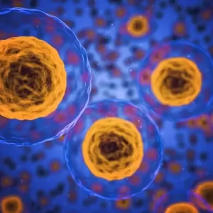 Cell membranes jpg webp
