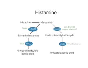 Histamine degradation biochemistry