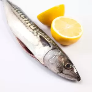 Omega3s jpg webp