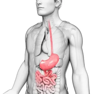 Probiotics for gi jpg webp