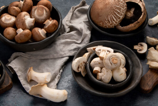 mushrooms as medicine