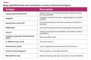 Megaigg binds antigens